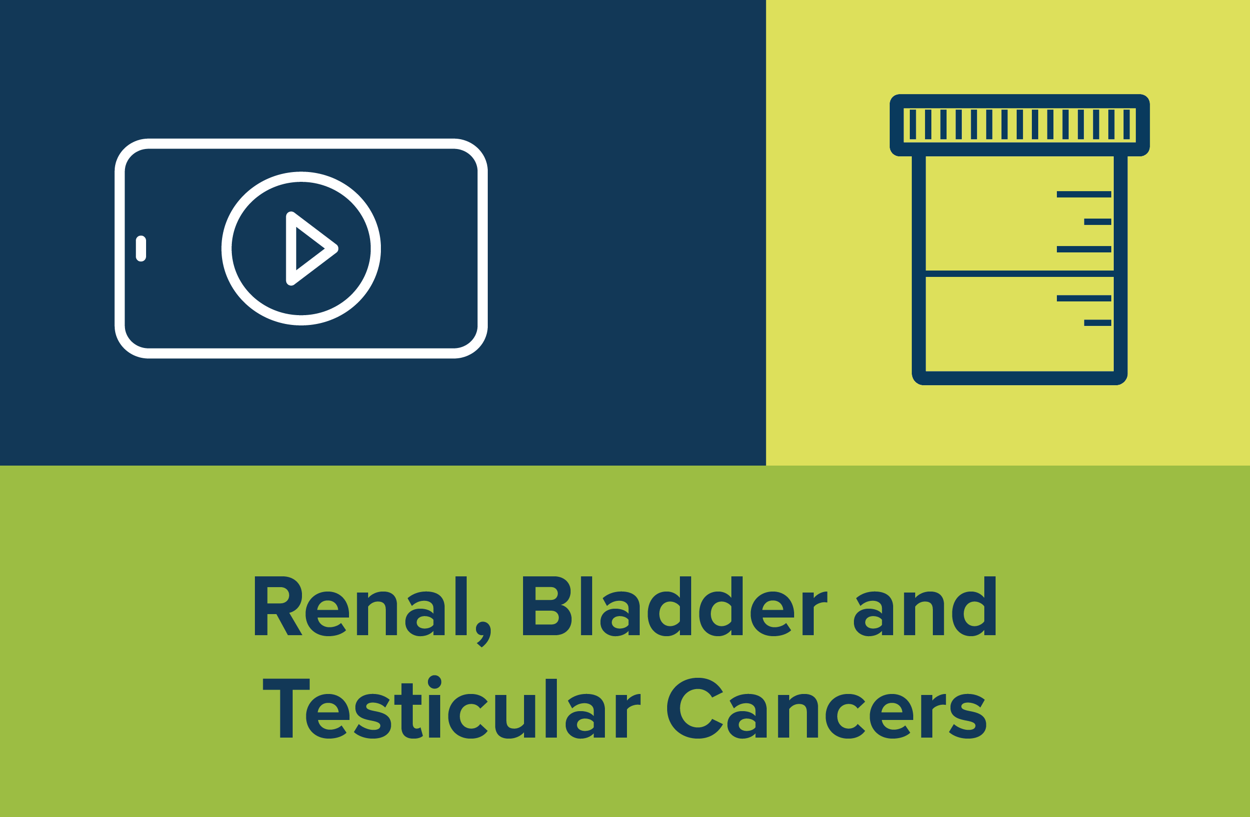 Renal, Bladder and Testicular Cancers